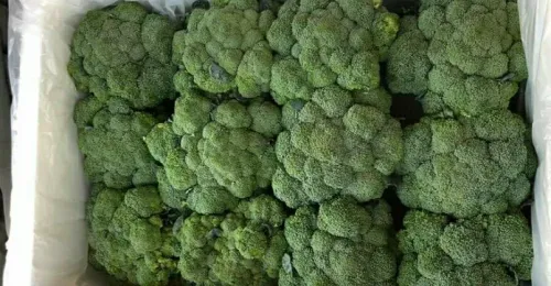 بروكلى بلدي