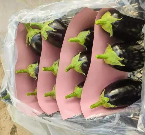 باذنجان رومى