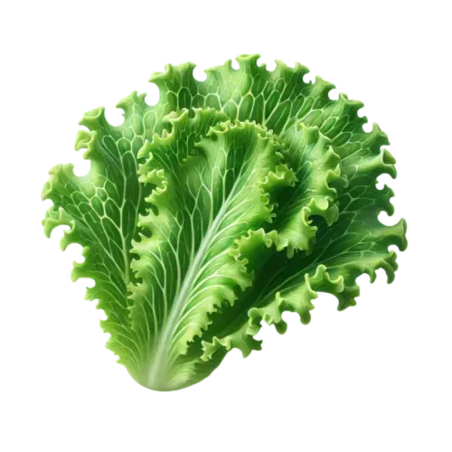 لولو بيوندا