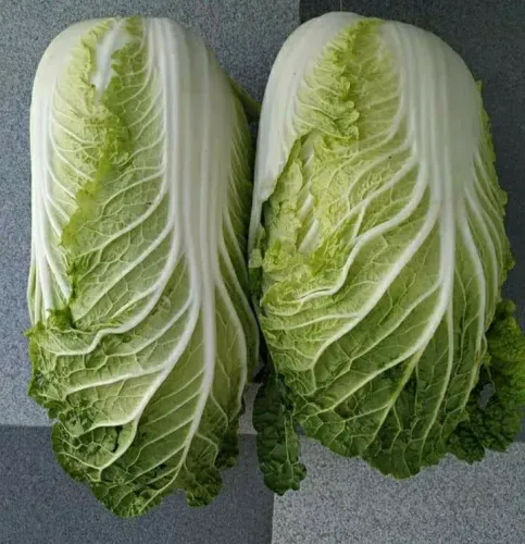 رومين أخضر