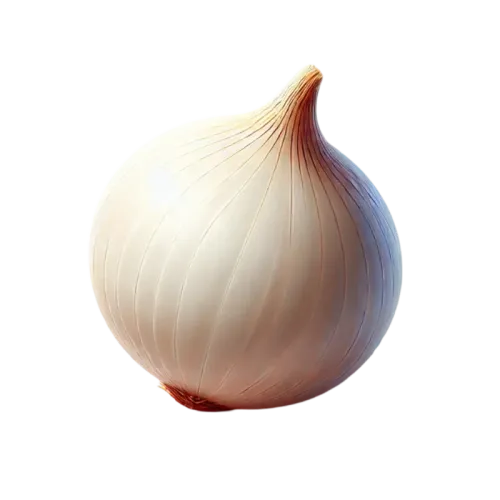 بصل أبيض