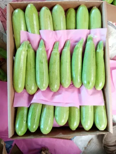 كوسة